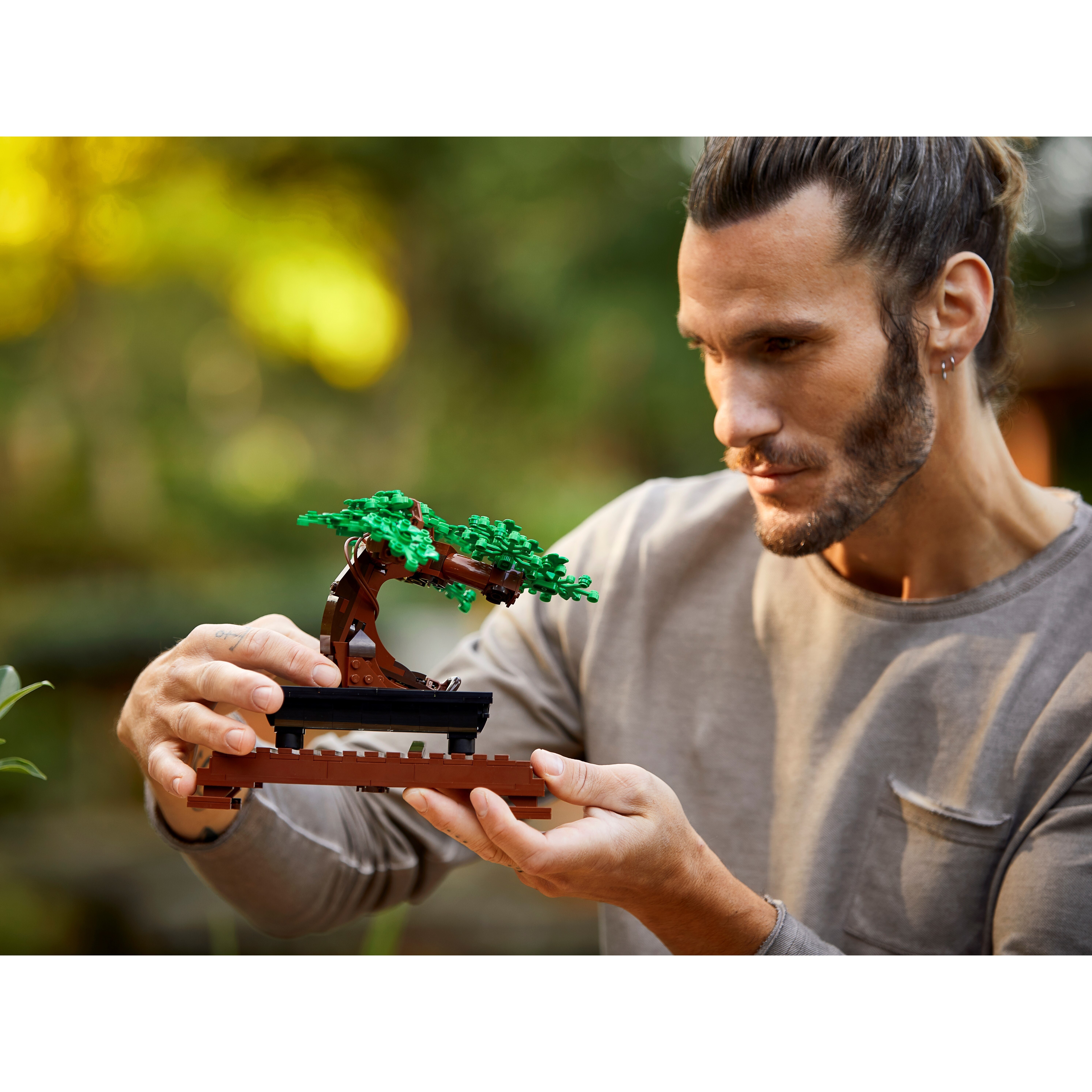 Bonsai Tree - Image 12