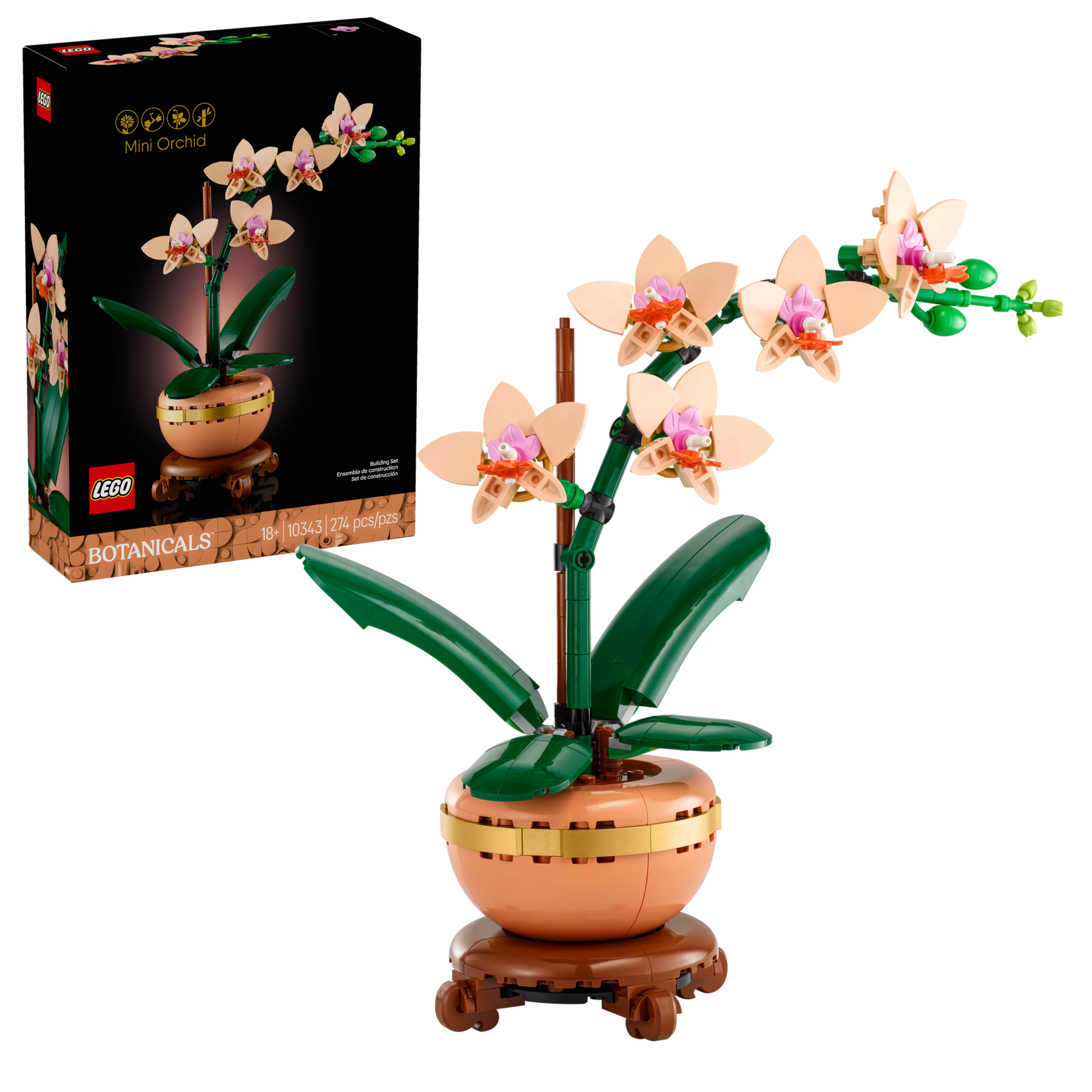 Mini Orchid - Image 2