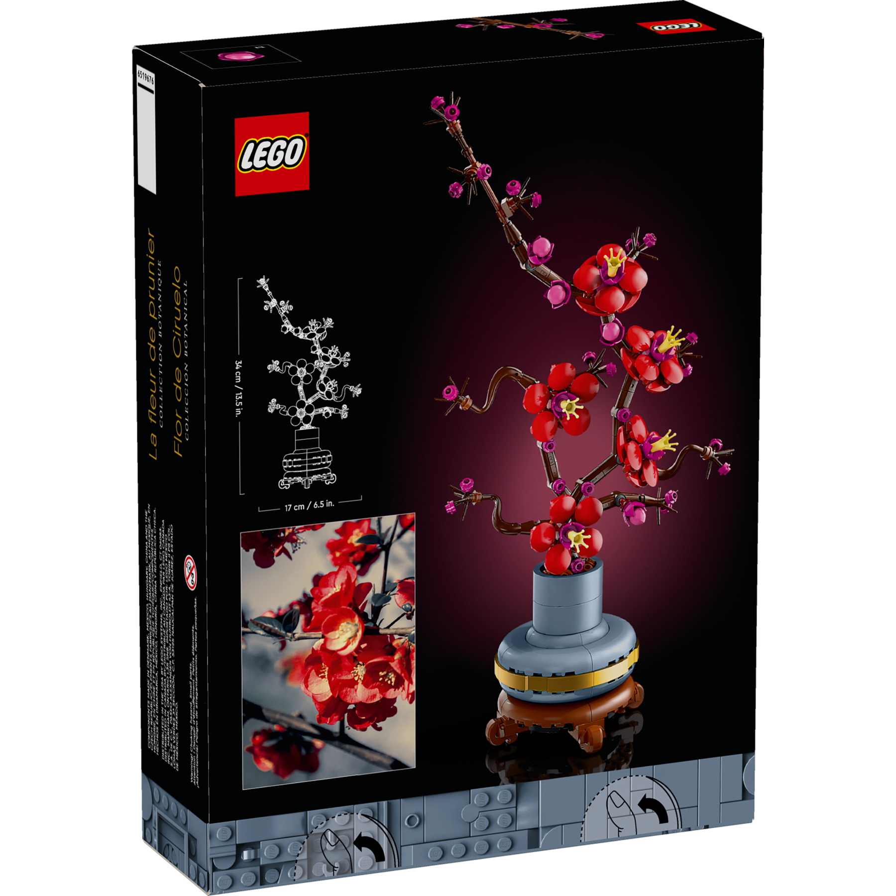 Plum Blossom - Image 10