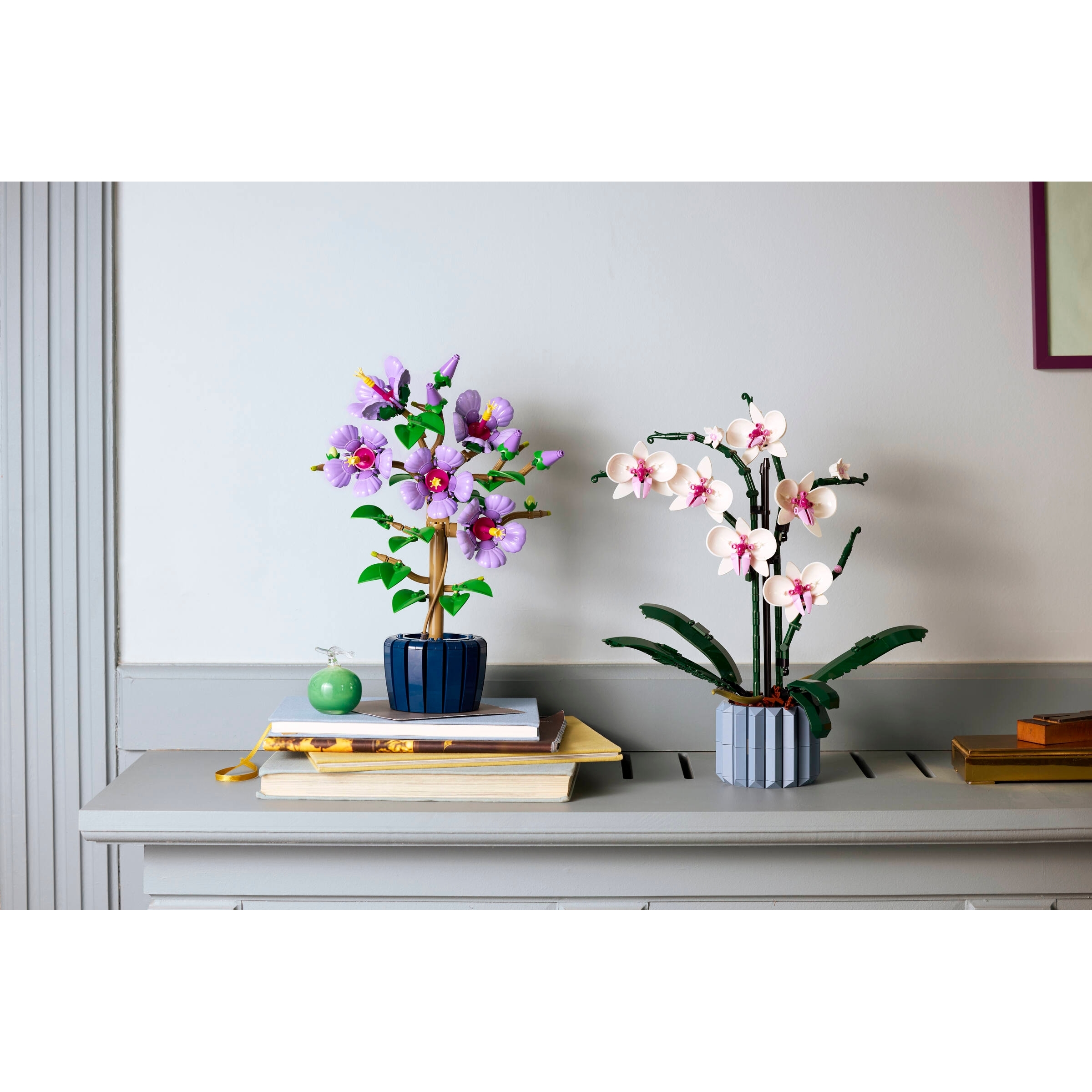 Hibiscus - Image 11