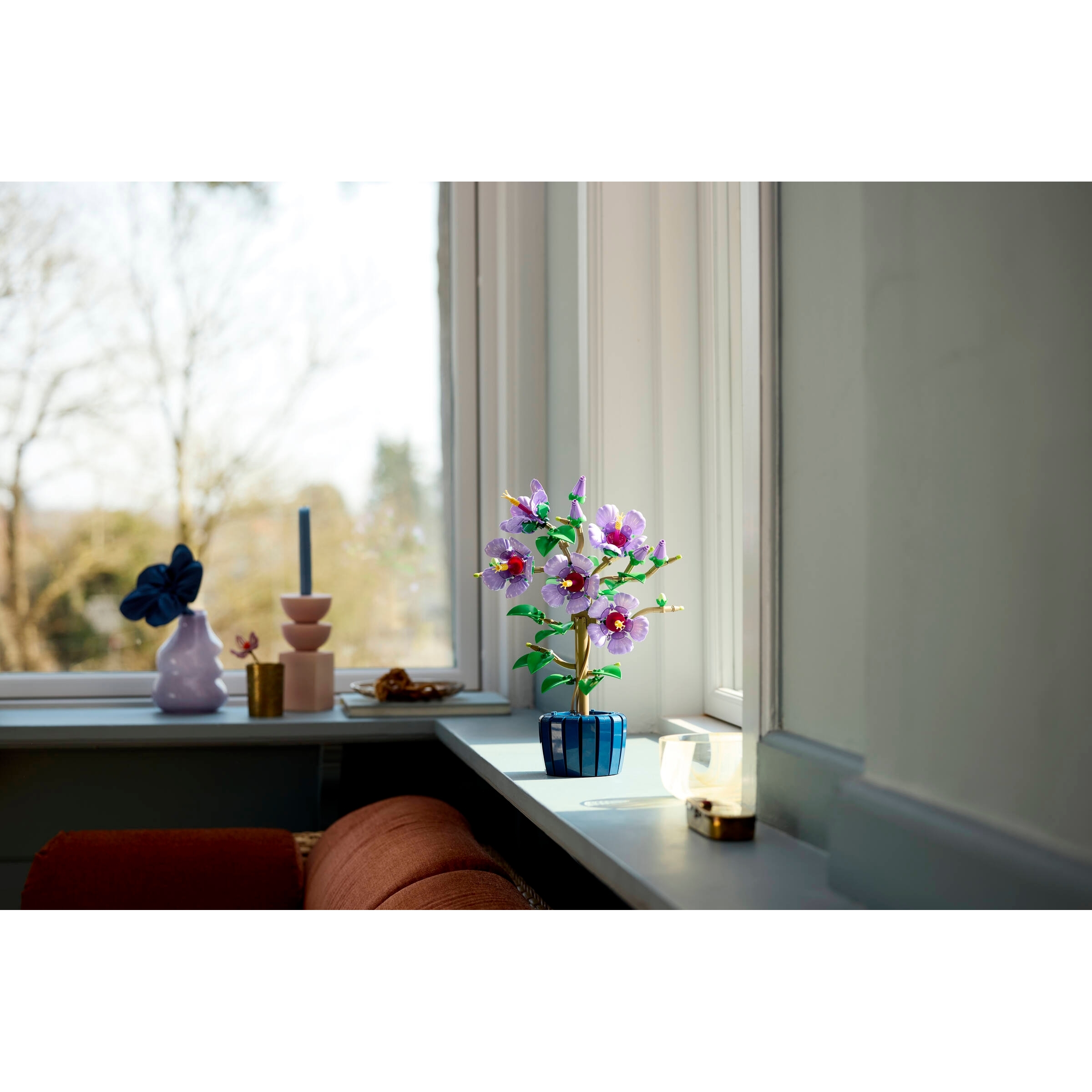 Hibiscus - Image 3