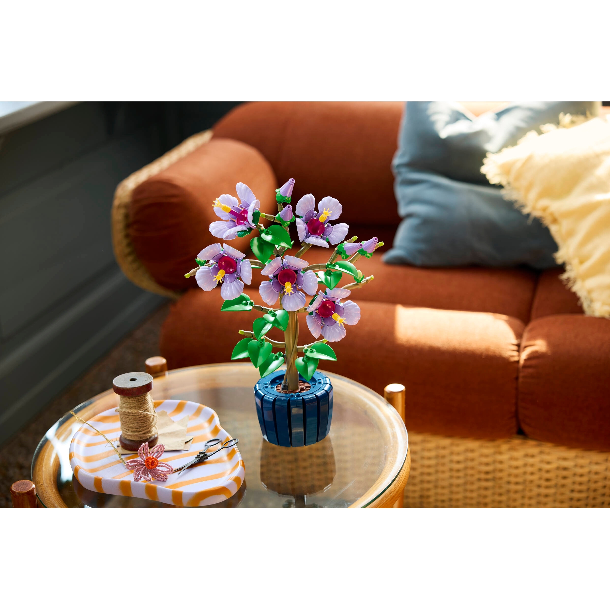 Hibiscus - Image 4