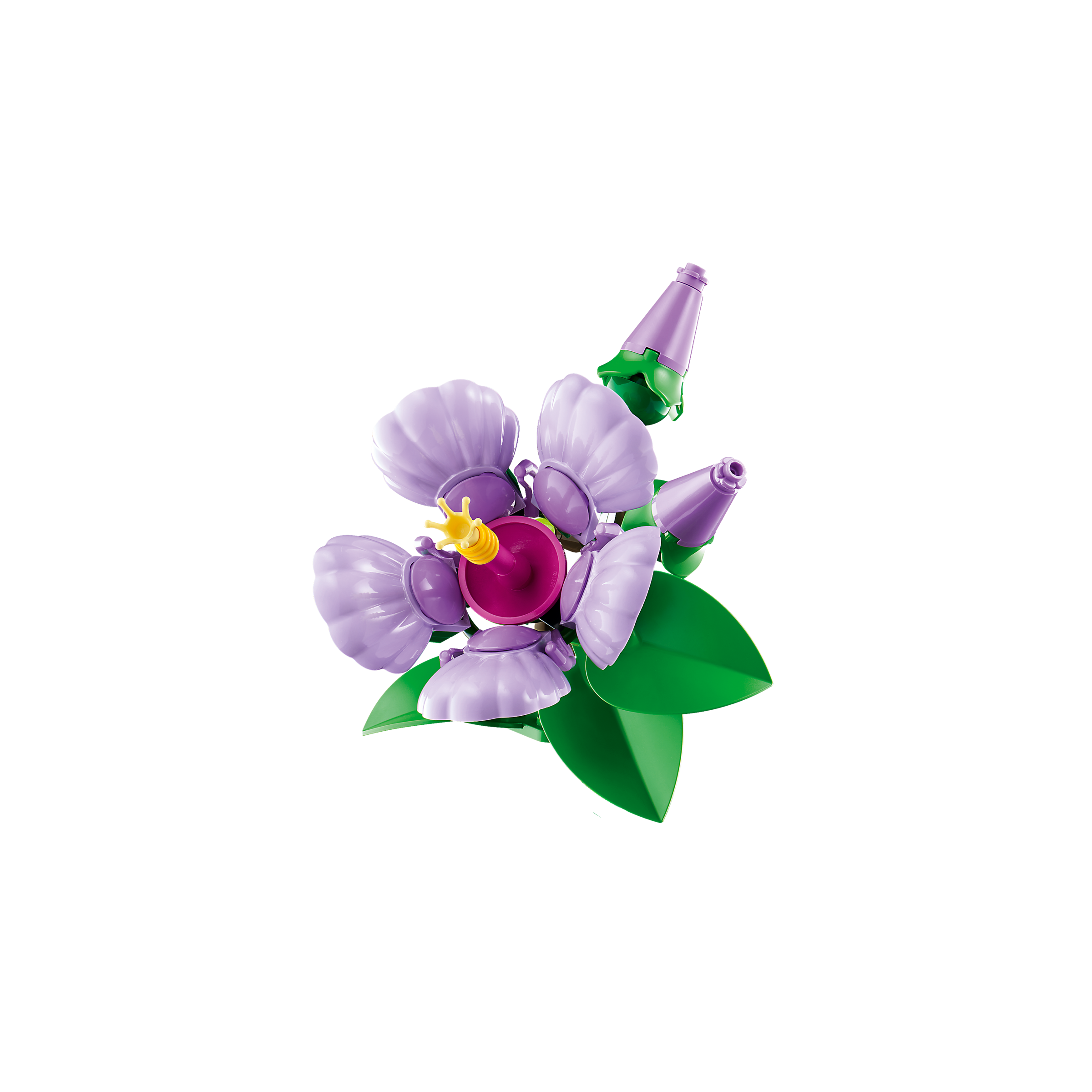 Hibiscus - Image 8