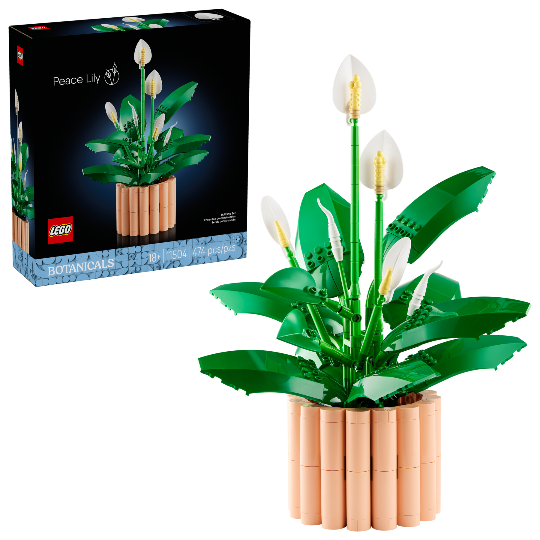 Peace Lily - Image 2