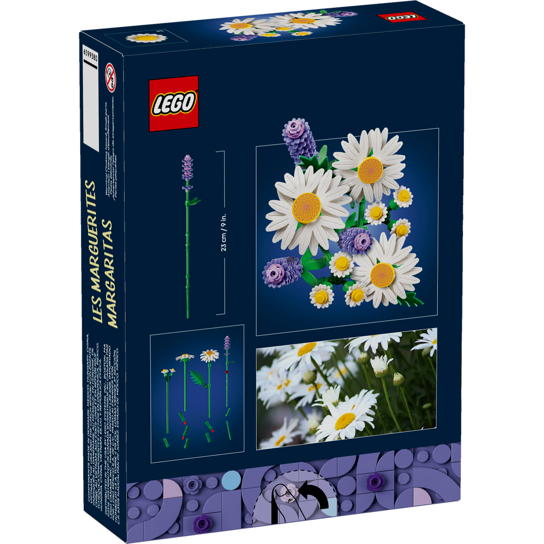 Daisies - Image 12