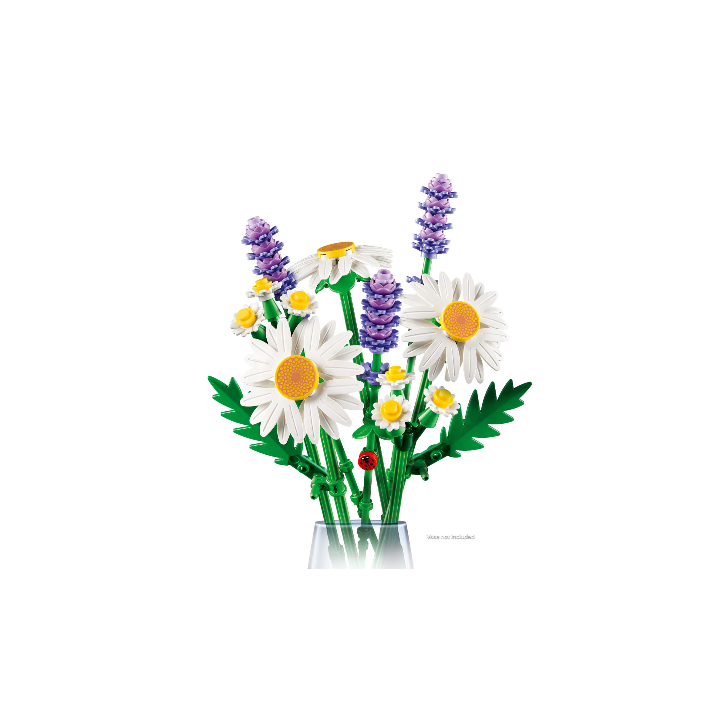 Daisies - Image 5