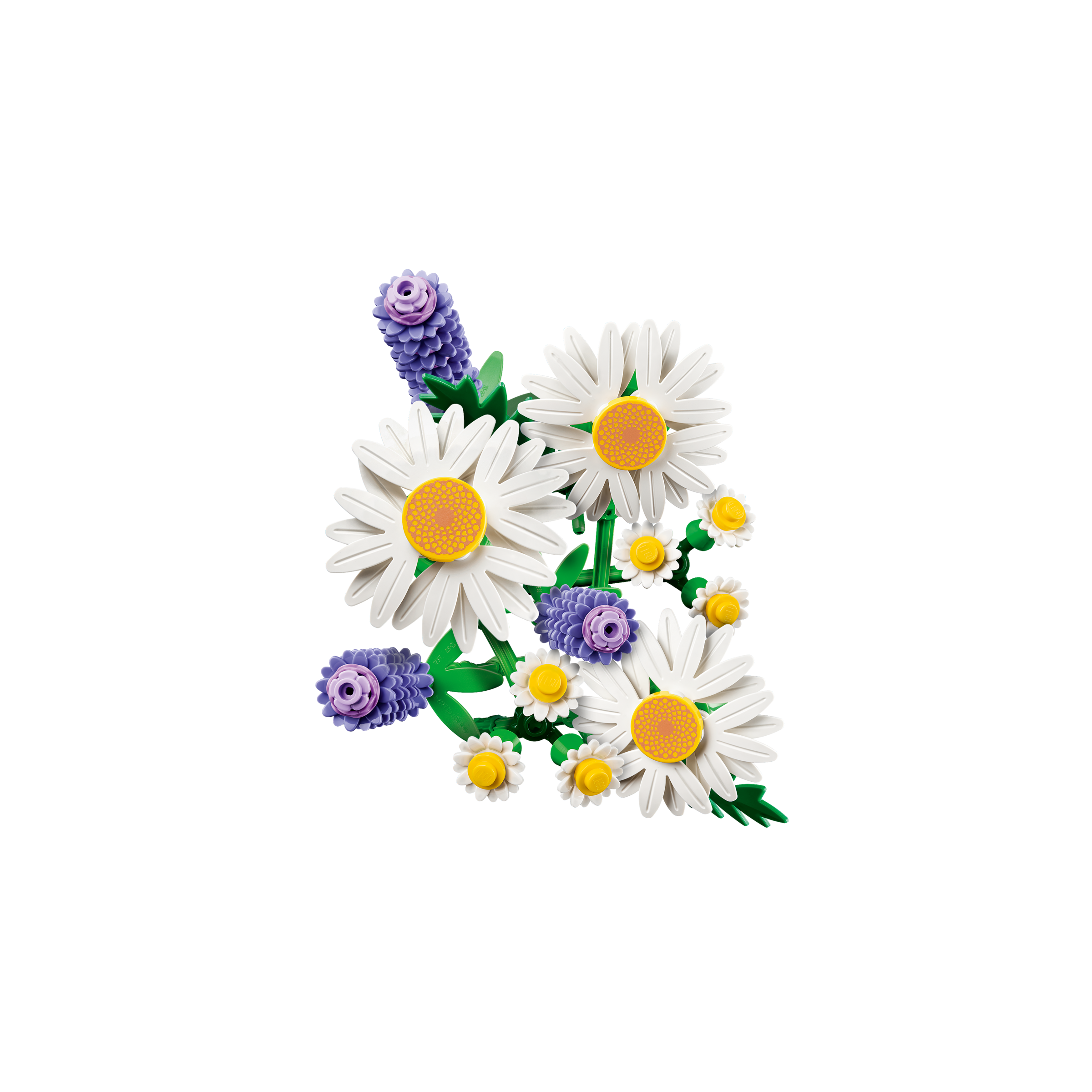 Daisies - Image 6