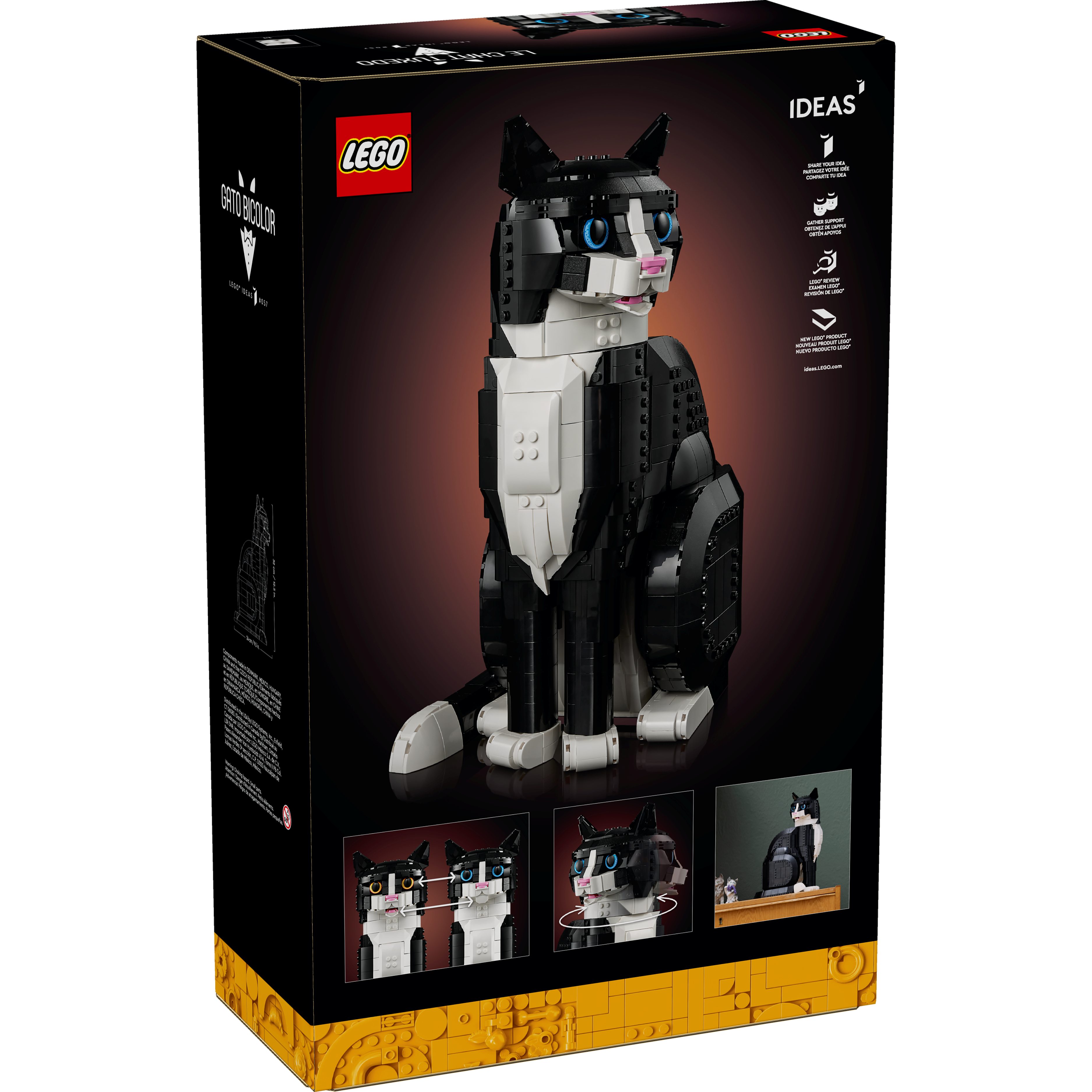 Tuxedo Cat - Image 10