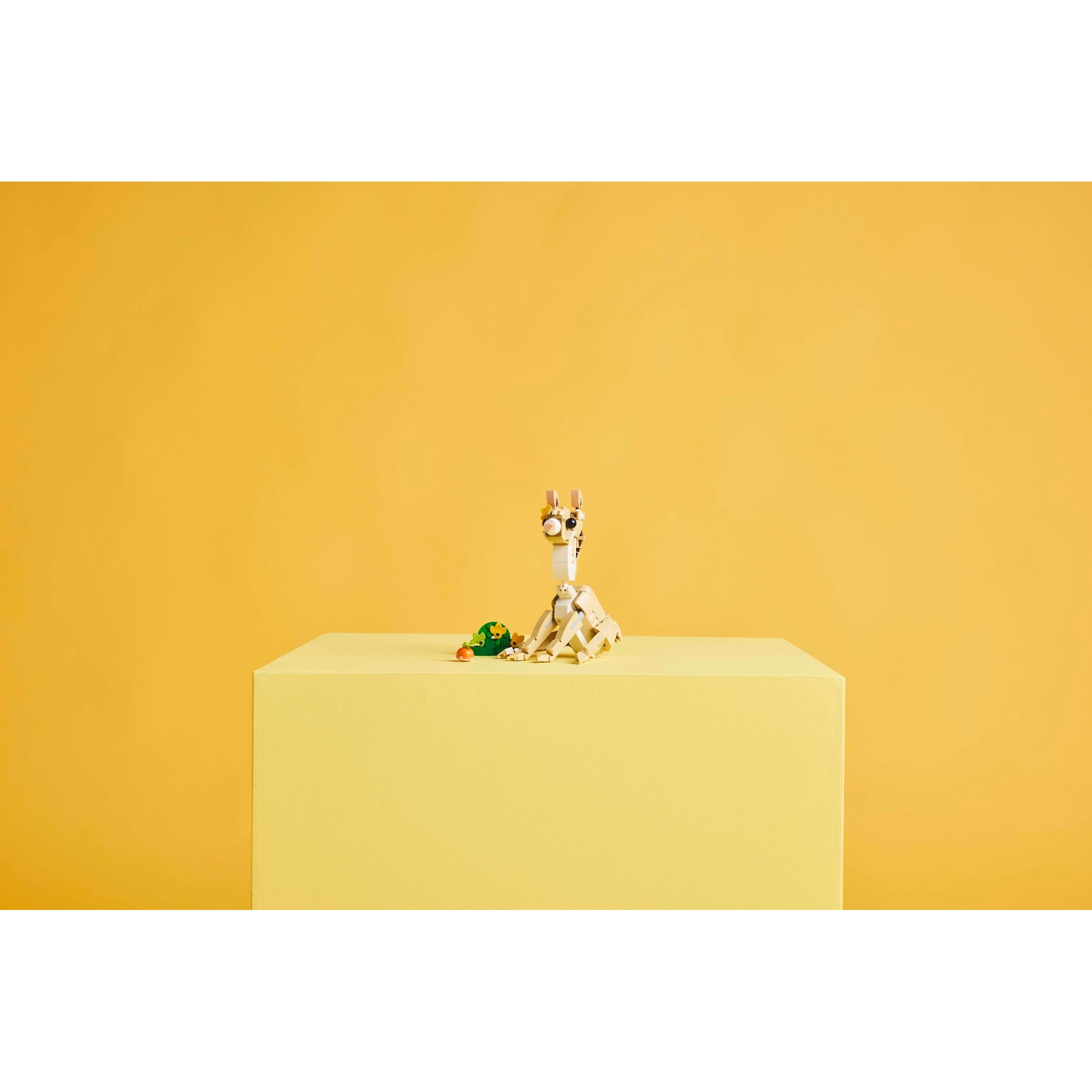 Cute Bunny - Image 11