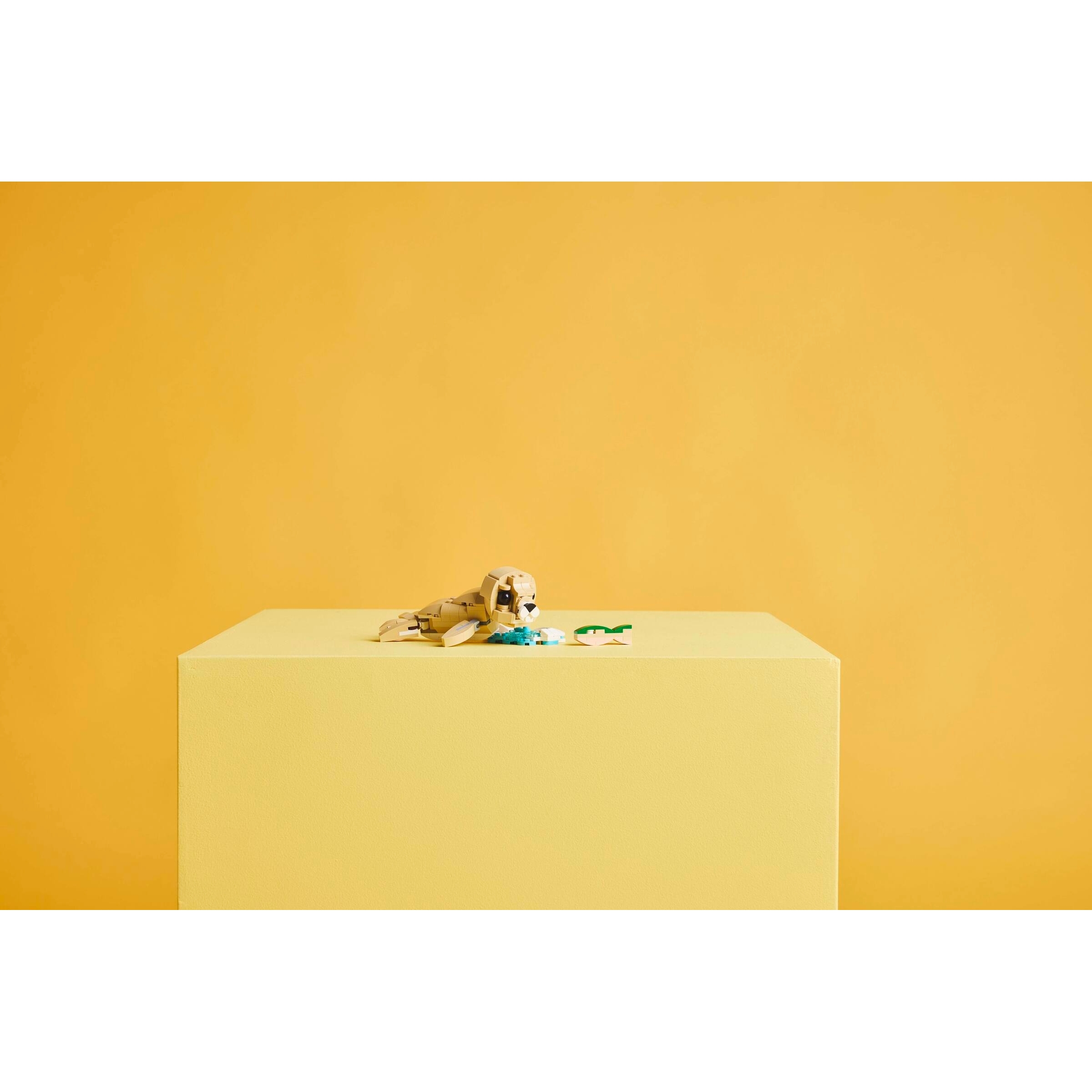 Cute Bunny - Image 12