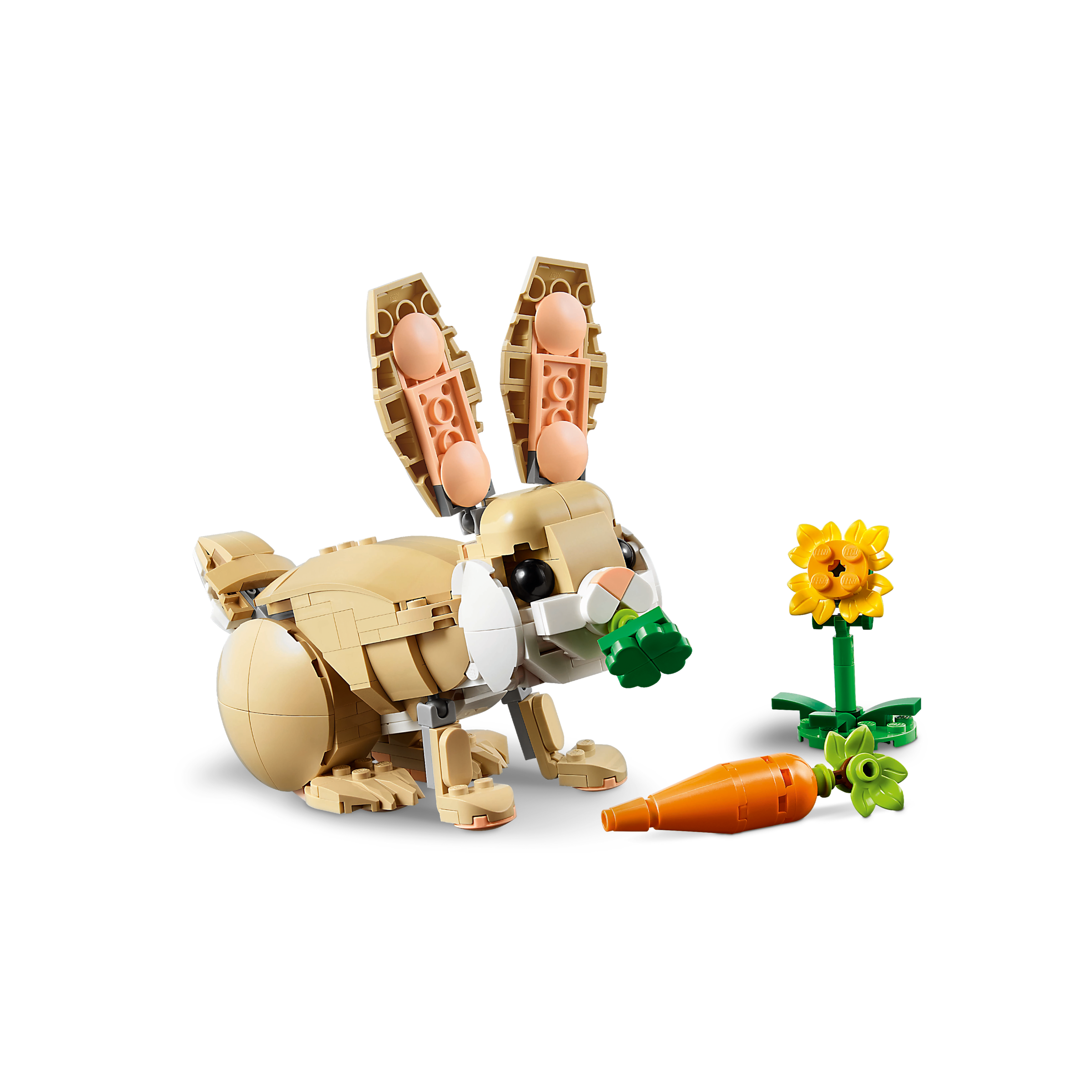 Cute Bunny - Image 3