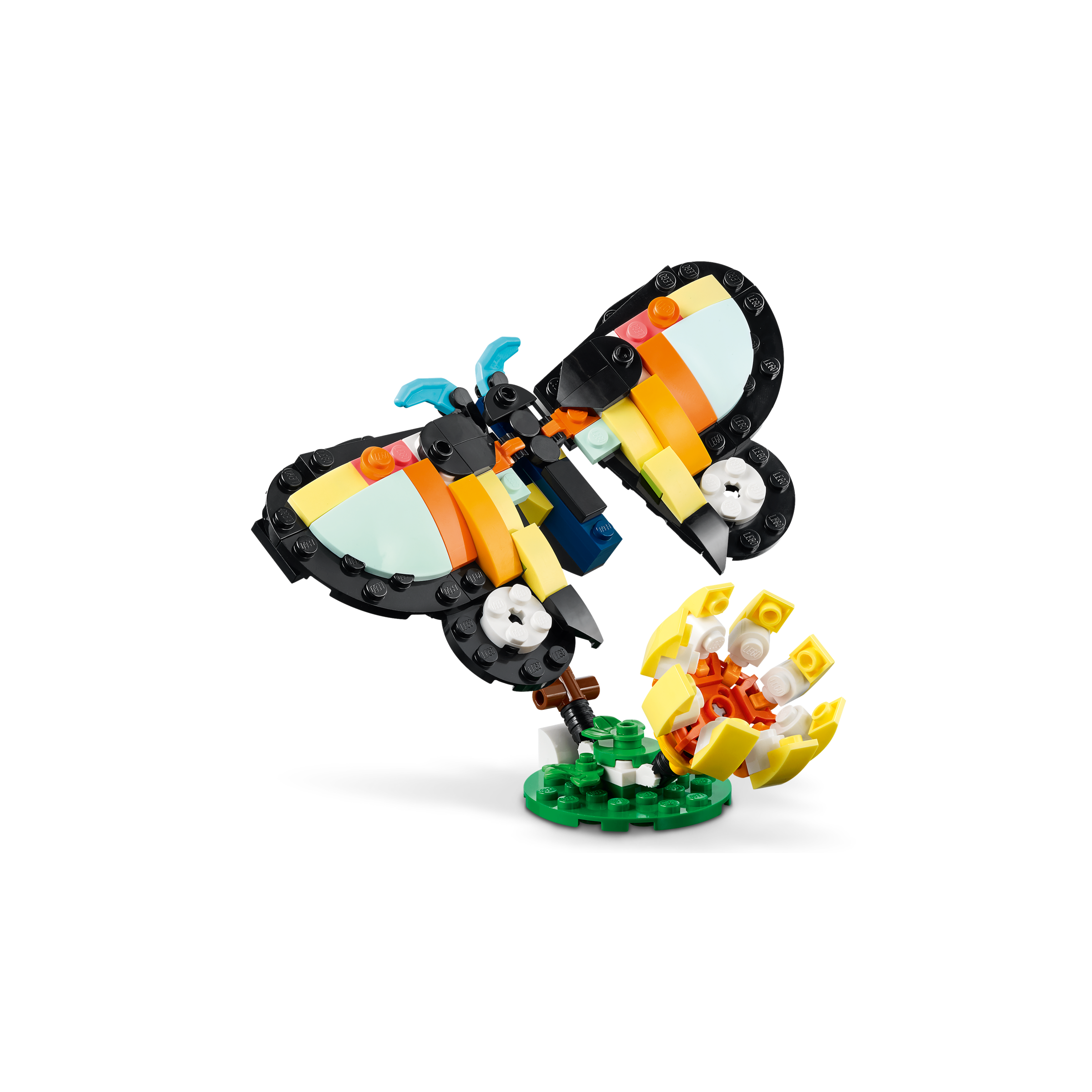 Wild Animals: Tropical Toucan - Image 3