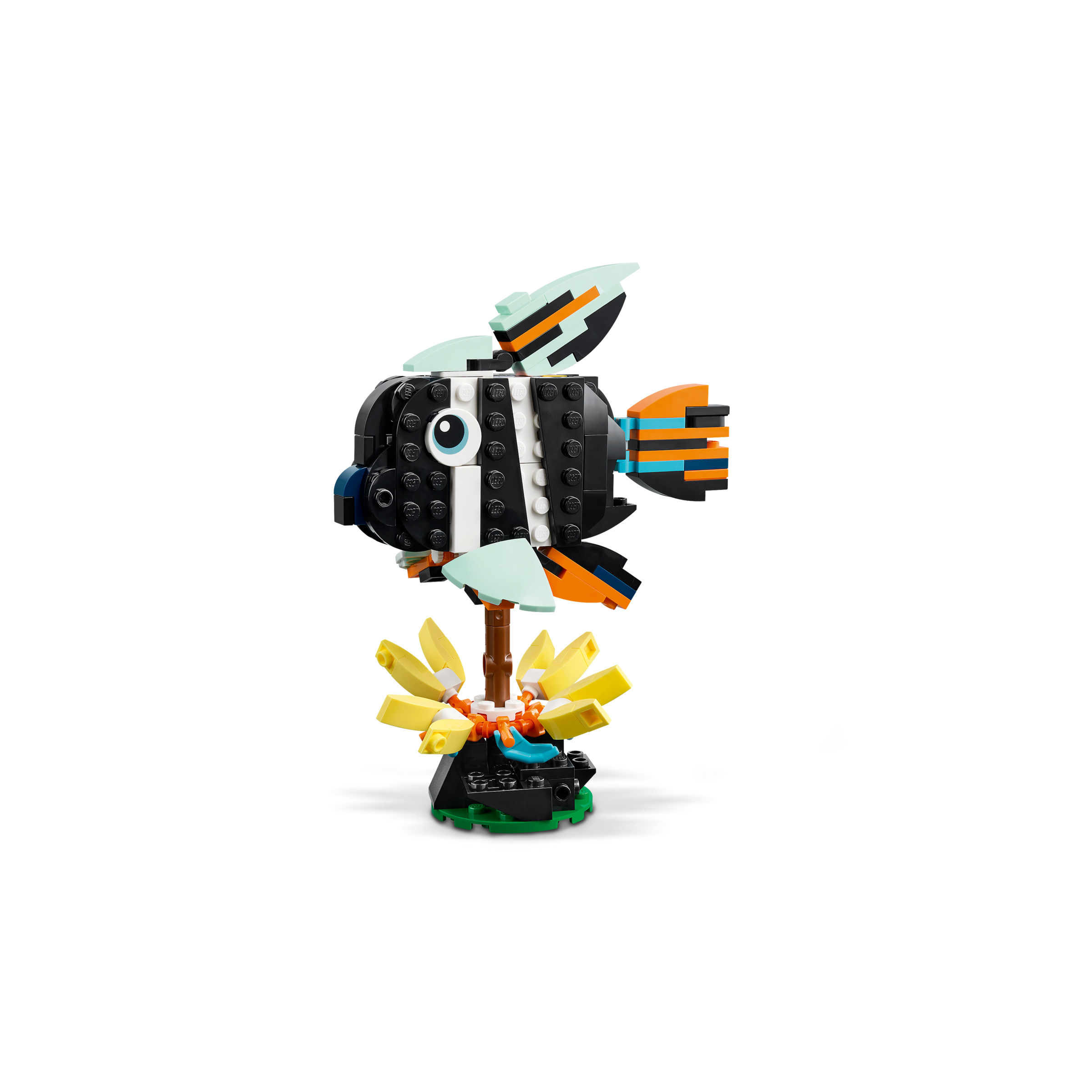 Wild Animals: Tropical Toucan - Image 4