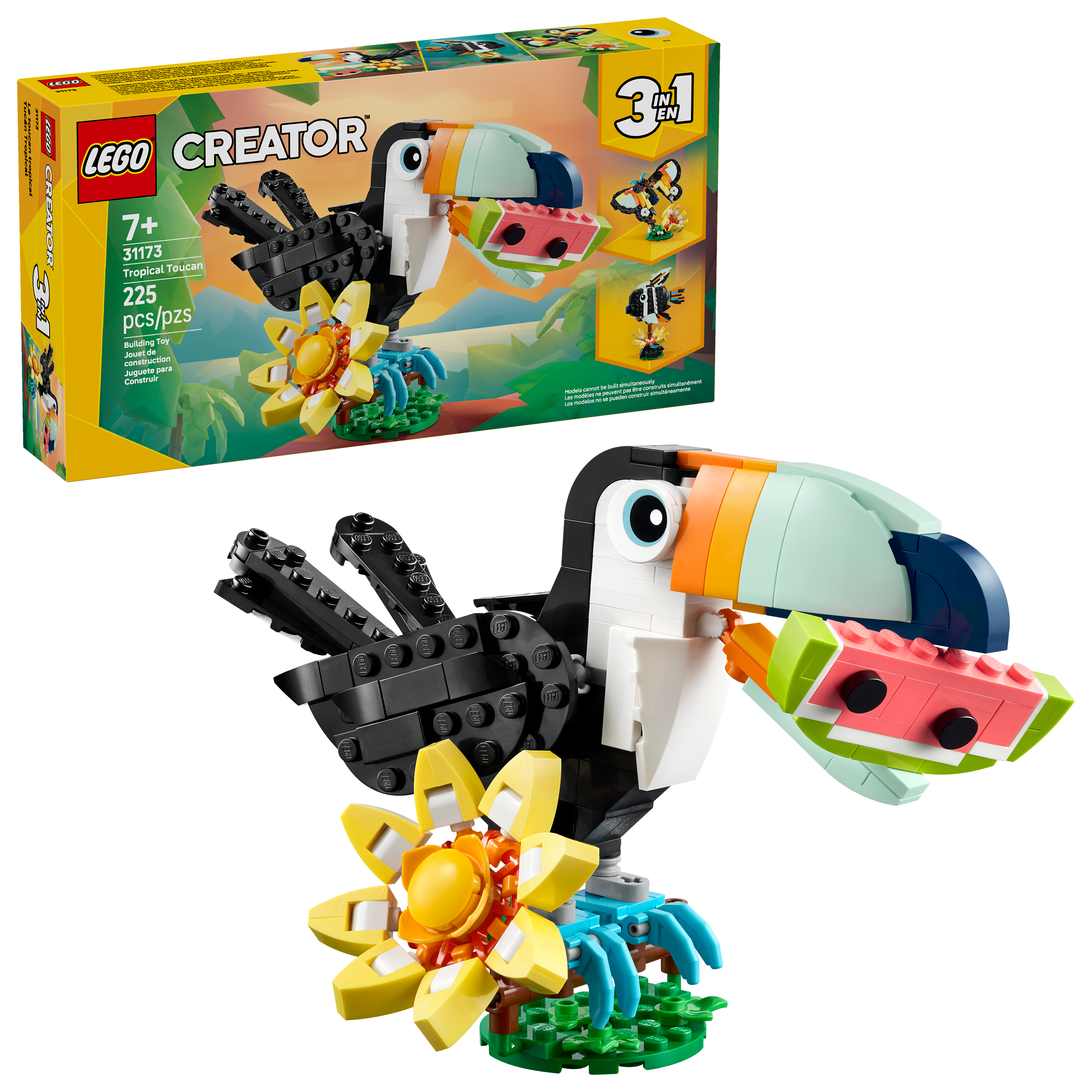 Wild Animals: Tropical Toucan - Image 2