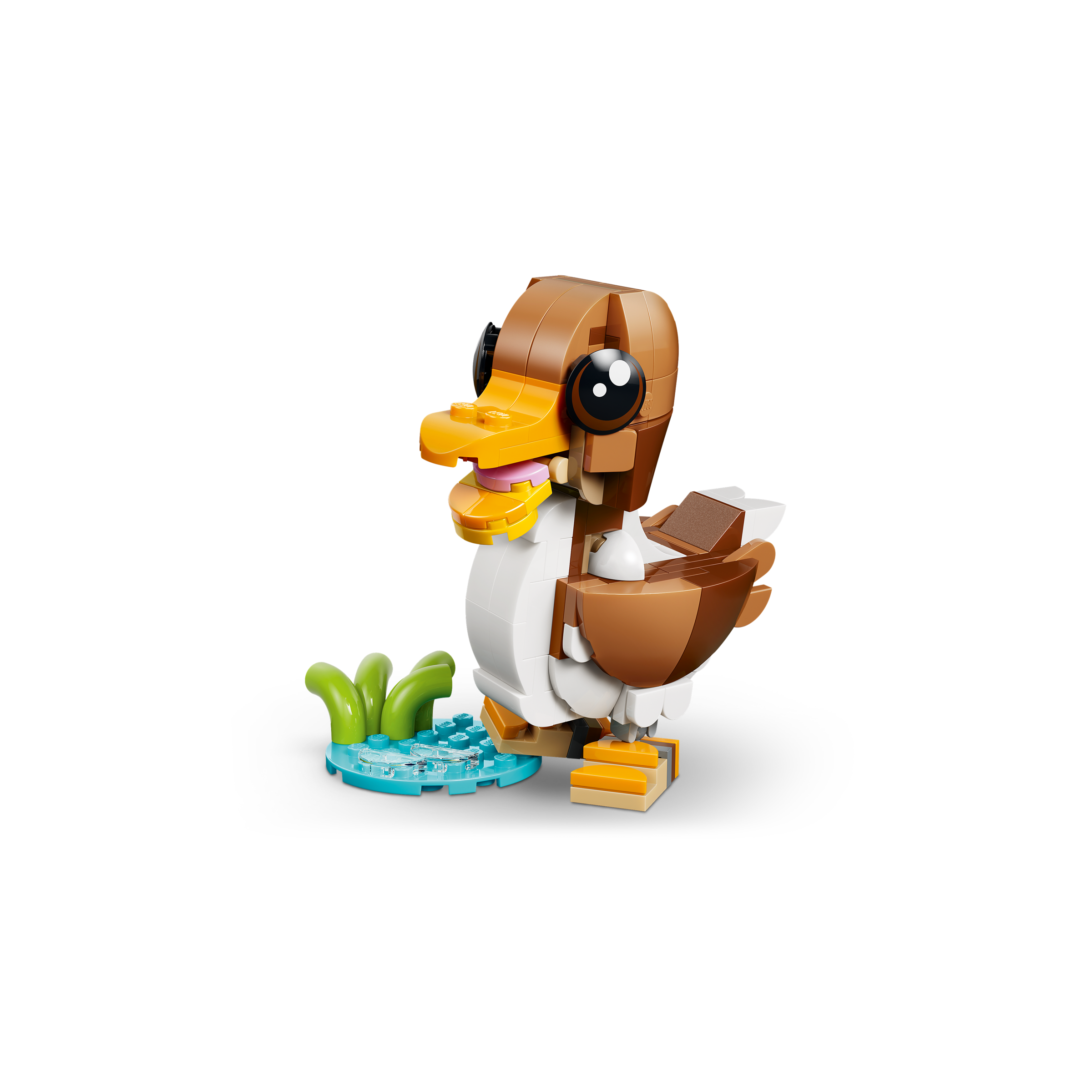 Cute Animals: Playful Puppy Dog - Image 4