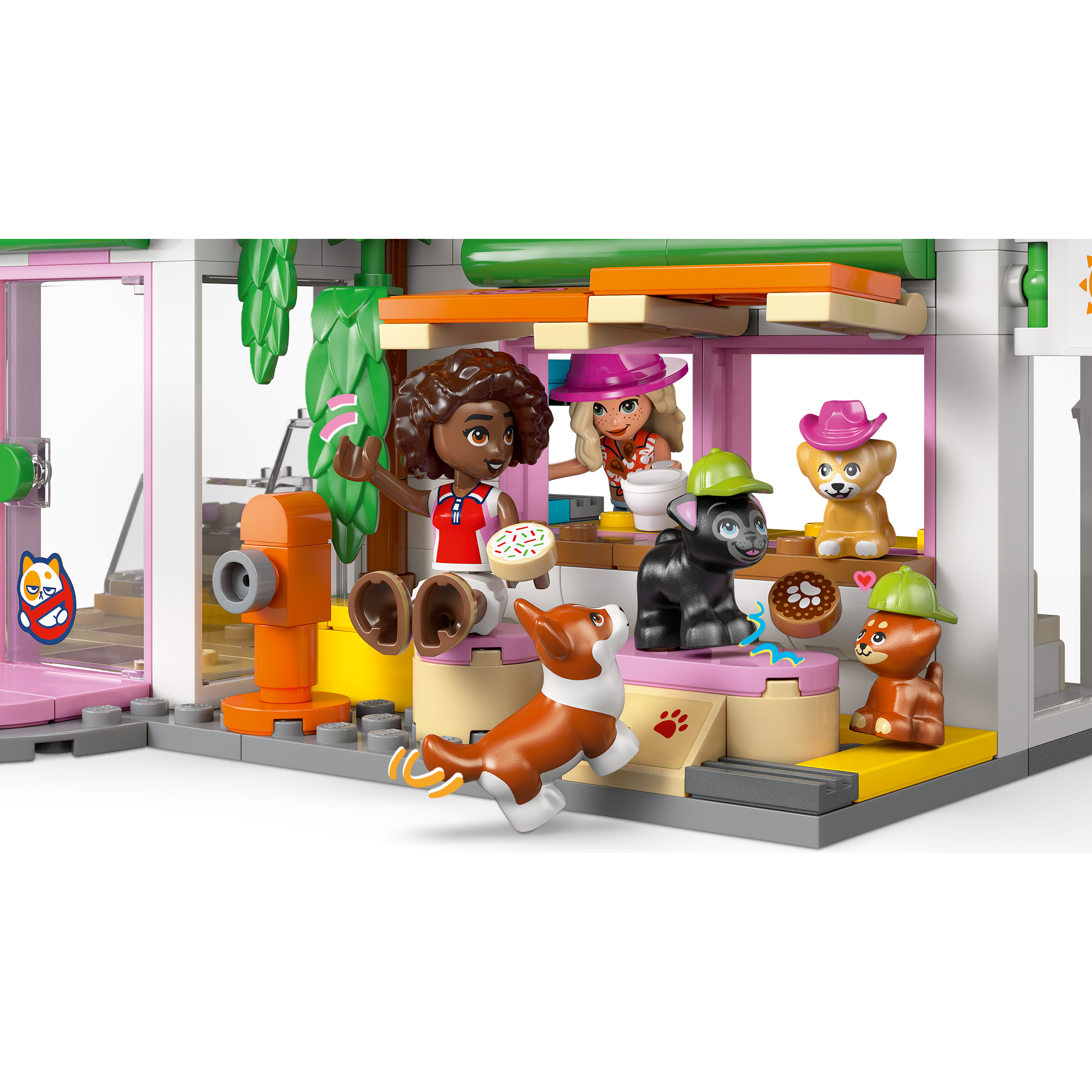 Dog Treats Bakery - Image 4