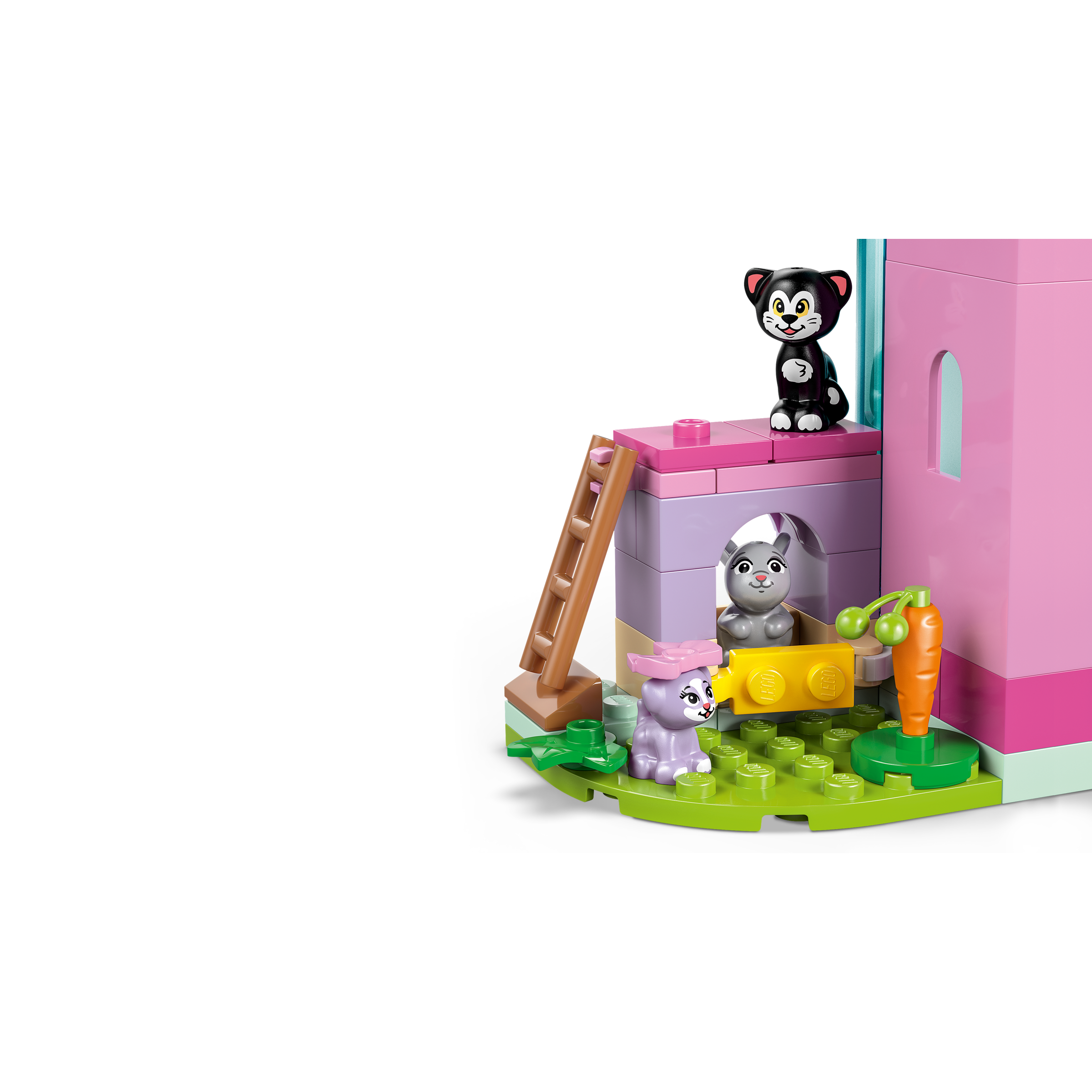 Minnie's Pet Hotel - Image 5