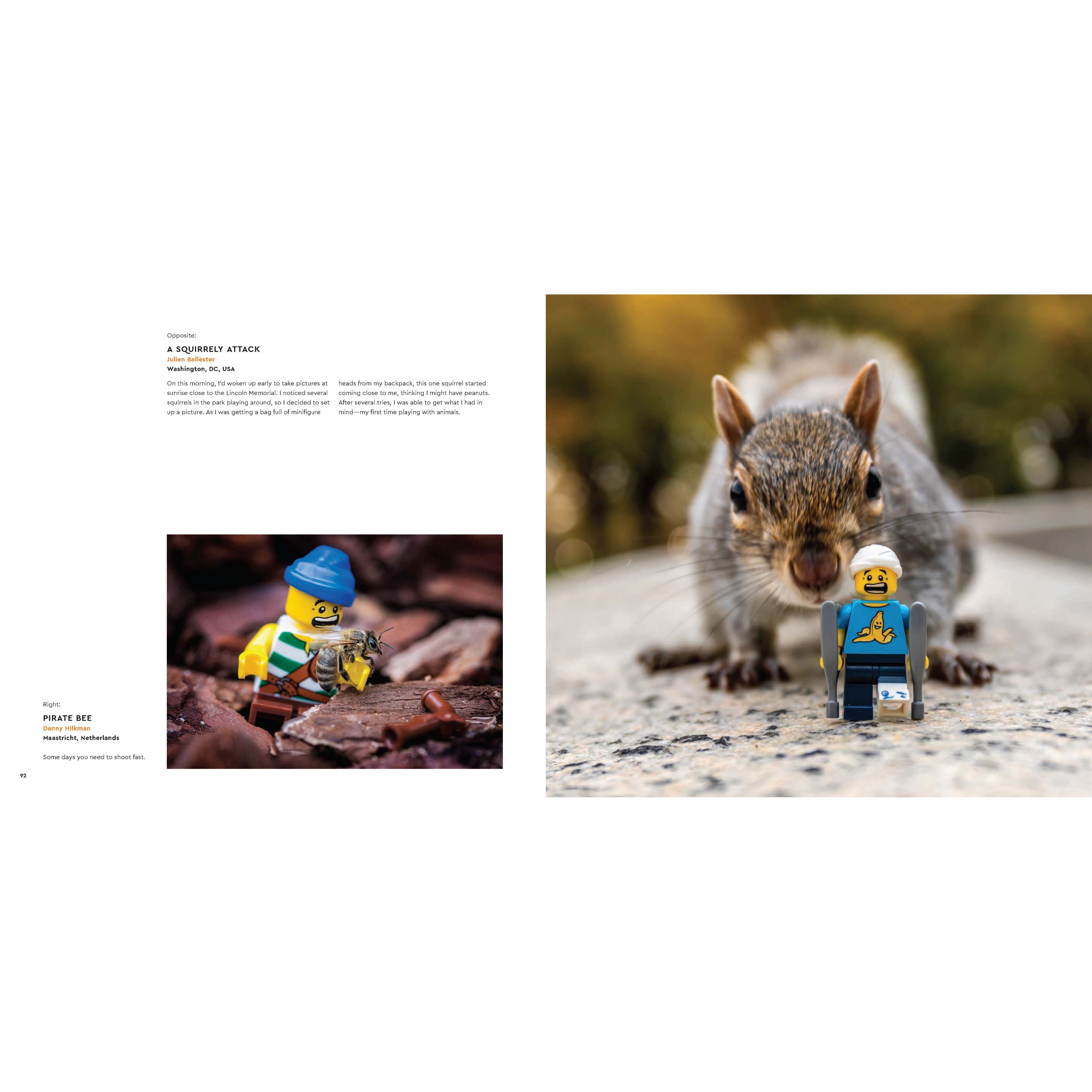 In Focus Book - Image 5
