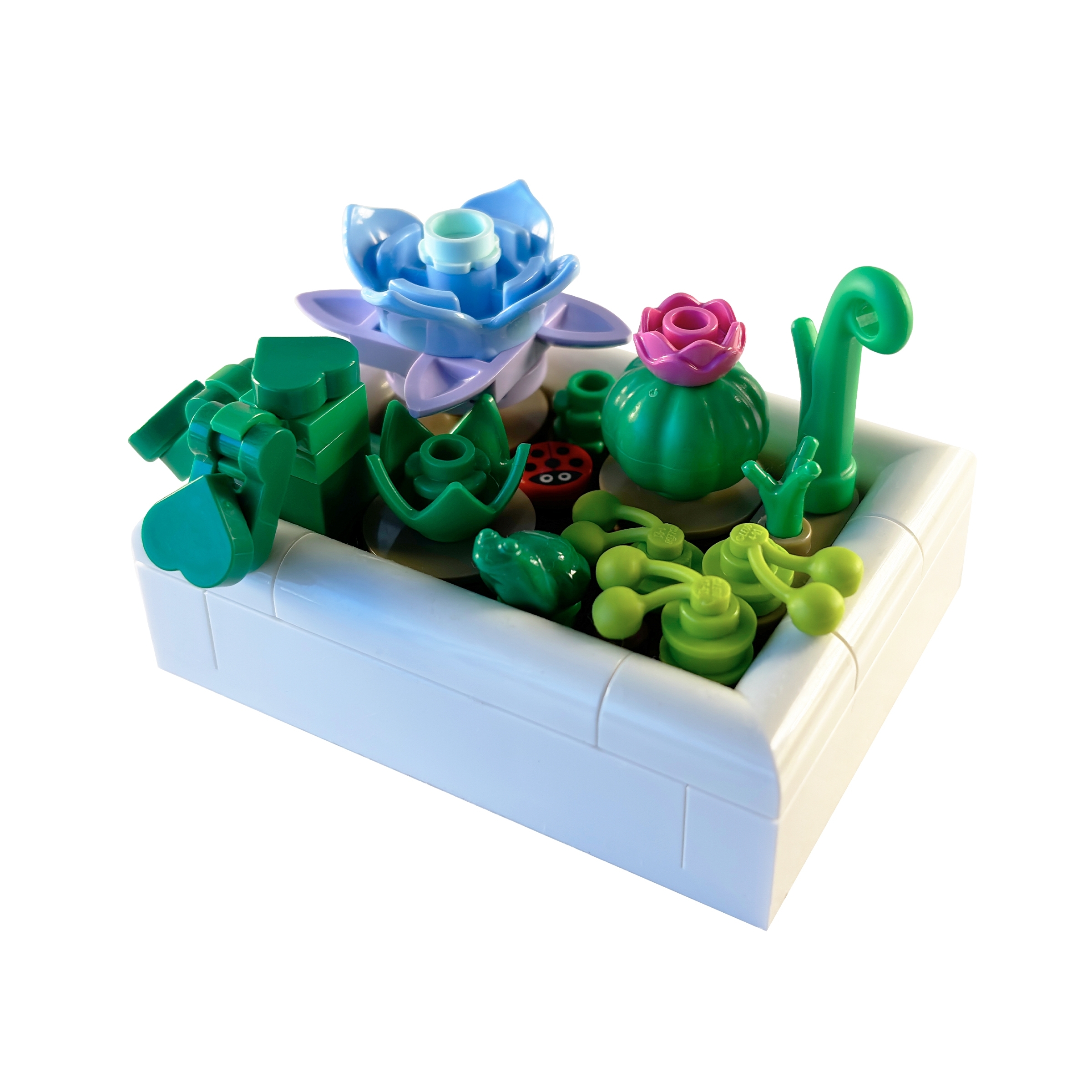 Tiny Desert Garden