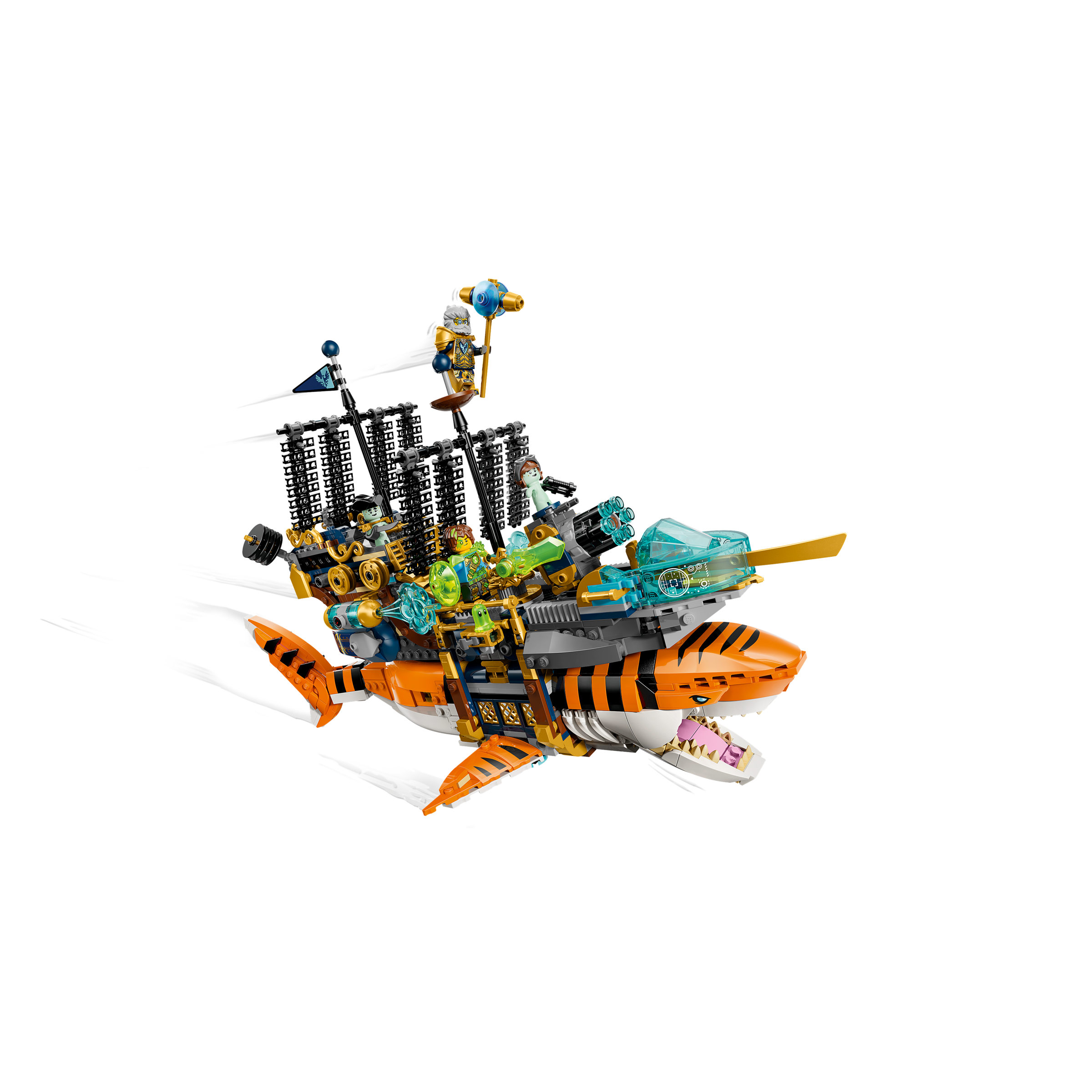 Tiger Shark Tank - Image 3