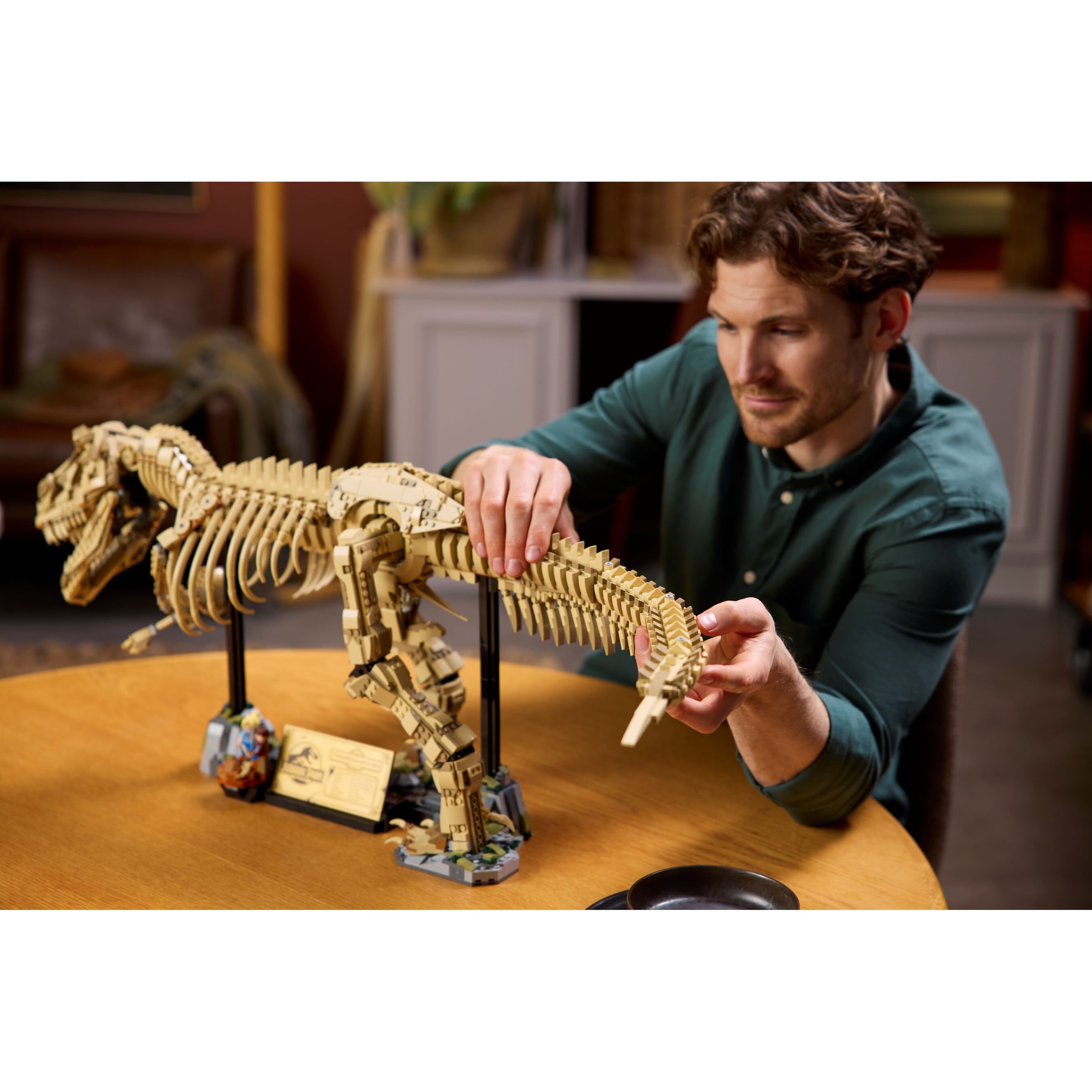 Dinosaur Fossils: Tyrannosaurus Rex - Image 10