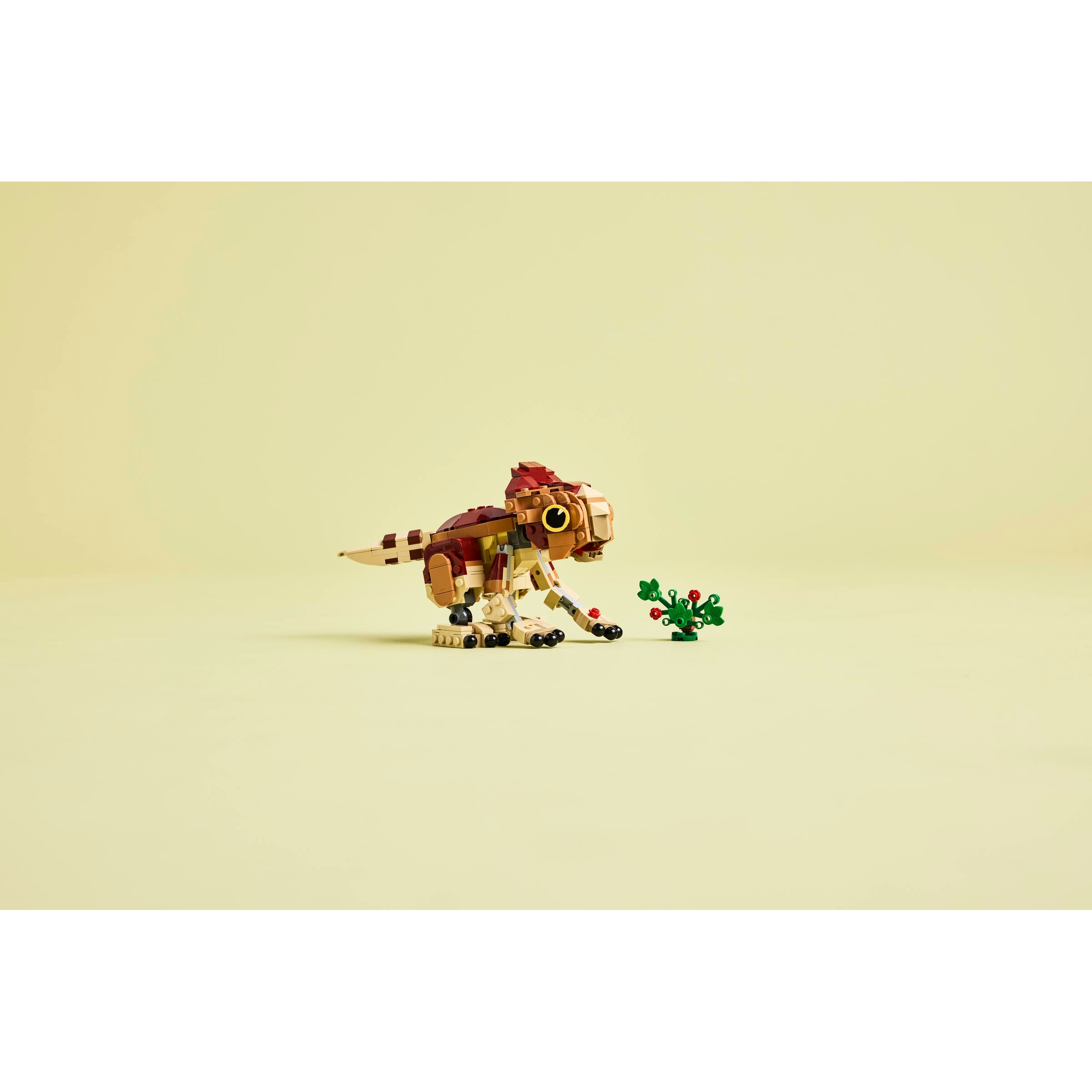 Baby Dinosaur Dolores: Aquilops - Image 9